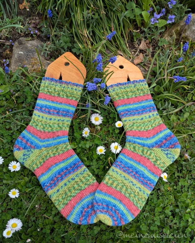 Und da sind sie auch tatsächlich noch gerade rechtzeitig fertig geworden um sie meinem Mann @eddy_trainfan zu seinem gestrigen Geburtstag zu überreichen. 🥰 

Ein Paar habe ich gerade noch in Arbeit, welches in den nächsten Tagen auch noch fertig werden sollte und dann überlege ich gerade noch welches Knäuel aus dem Abo ich als Mitnahmeprojekt für den Urlaub anstricke.🤔

Habt eine schöne Wochenmitte.🌸💗

📝: Stinos
🧶: Opal-Abo März 2025

Wₑᵣbᵤₙg, fᵣₑᵢwᵢₗₗᵢg & ᵤₙbₑzₐₕₗₜ!

#opalabomärz2025 #sockenstricken #socken #socks #handknitsocks #stinos #gestricktesocken #sokkenbreien #niegenugsocken #knitprodeu #opalabo  #opalyarn #opalsockenwolle #strickenmachtglücklich  #socklove #sockknitting  #stricken #breien #alliknitislove #modernknitting #knitting #knitwear #knittersofinstagram #socksofinstagram #ravelry  #wolligewuseleien #meinewuseleien