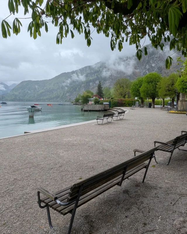 Nachdem es heute kaum mehr geregnet hat, konnten wir wieder etwas mehr unternehmen und so führte unser Weg an die gegenüberliegende Seeseite, nach St. Gilgen.

Unterwegs hielten wir für einen Fotostopp in Gschwendt. Es war einfach so eine unglaublich schöne Stimmung mit diesen tief hängenden Wolken und der traumhaft klaren Luft. Herrlich! Kommt auf den Fotos leider nicht ansatzweise so rüber. 

Unser Bummel durchs schöne St. Gilgen führte uns letztendlich ins Kulturhaus zur "Hör Art / Musikinstrumentenausstellung der Völker" mit über 7000 Instrumenten aus aller Welt. Unfassbar beeindruckend! Und wir hatten den Umfang bzw die Darbietung durch den Betreiber unterschätzt und deutlich zu wenig Zeit dafür eingeplant. Deswegen wollen wir das unbedingt wiederholen und dann auch entsprechend besser planen. Sofern wir das die nächsten Tage noch hinbekommen, wird es einen extra Beitrag dazu geben. Ansonsten definitiv im nächsten Urlaub.😉

Wieder zurück in Strobl machten wir uns am Nachmittag noch ein wenig auf zu einem Spaziergang an und um die Seepromenade, bevor es dann doch nochmal wieder zu regnen begann. 

Ein durchwegs schöner, interessanter und lehrreicher Tag alles in allem.

#urlaub #auszeit #wolfgangsee #stgilgen #gschwendt #strobl #salzkammergut#zeitzuzweit #diekleinendinge #dankbar  #beautiful #draußen#glücksmomente #achtsamkeit
#laufenmachtglücklich #outdoors #natur #nature #thepowerofnature #naturfotografie #naturephotography #naturelover #love #beautiful   #instagood #view #meinewuseleien